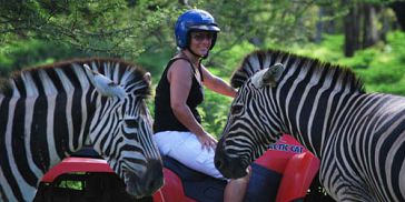Rando Fun Adventure